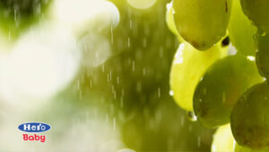 gotas-lluvia-cayendo-en-racimos-uva